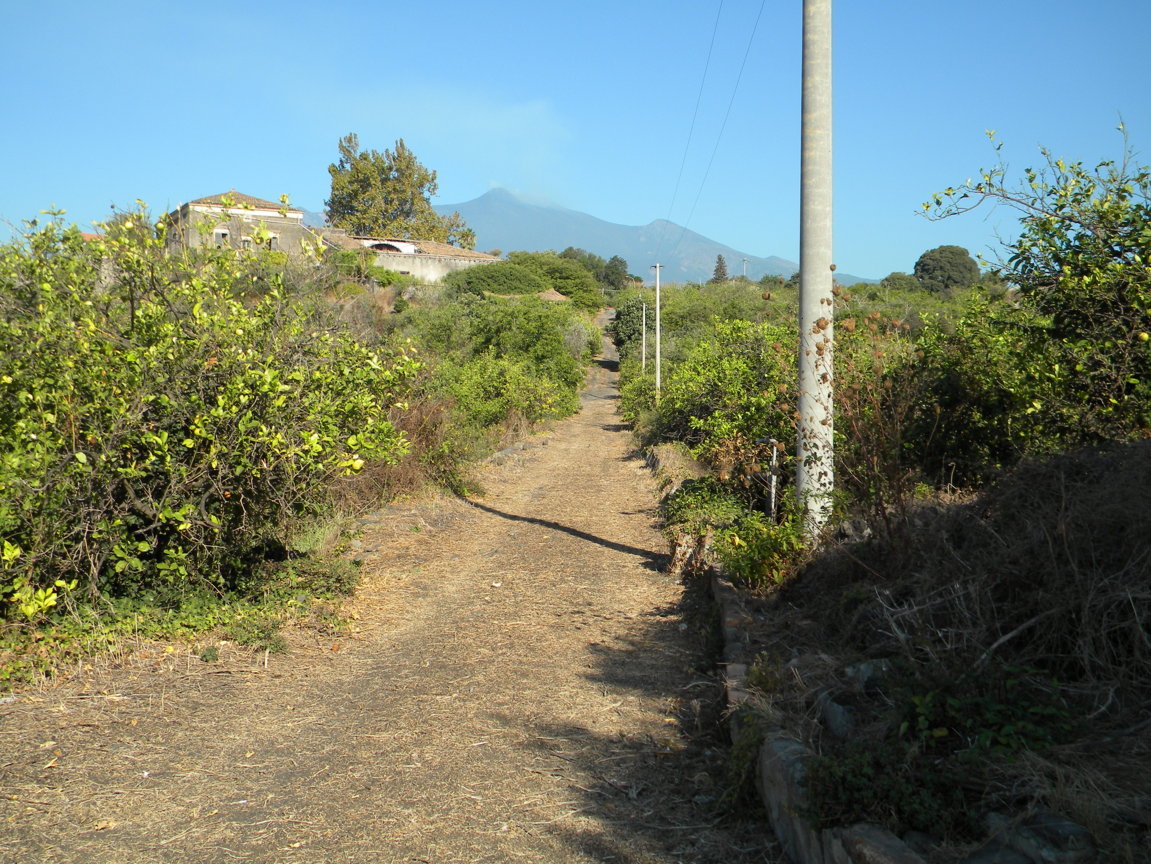 DSCN8115 .JPG